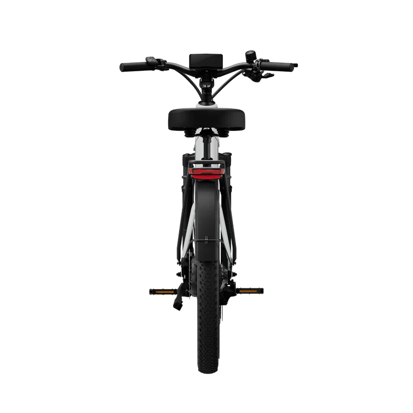 TENWAYS Wayfarer 750W Electric Bike
