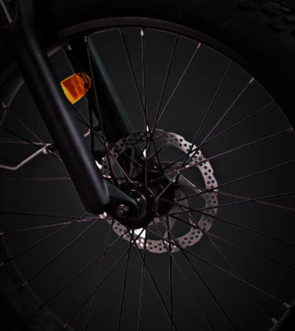 Bee Runner Long-Tail Cargo Electric Bike