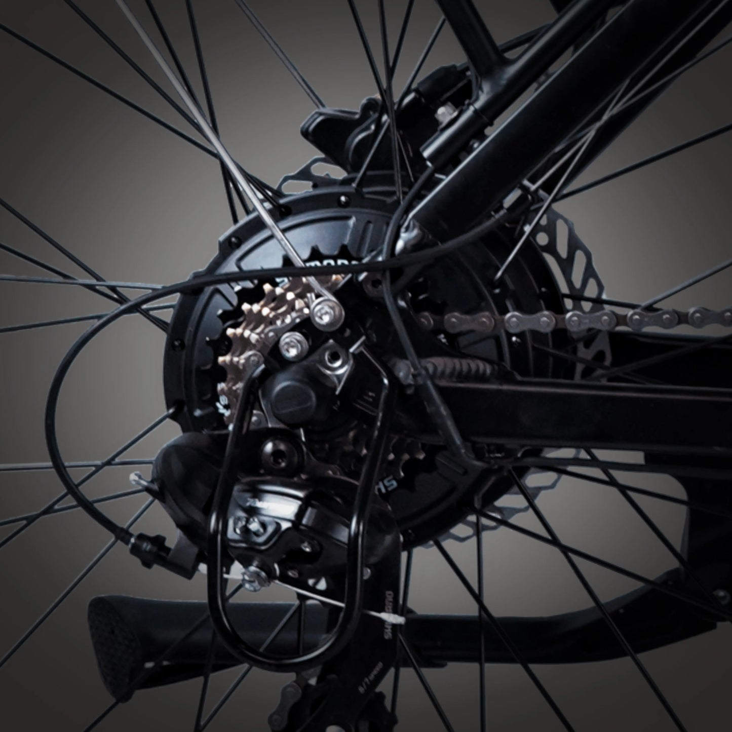 Bee Adventurer X2 Soft Tail Dual Motors Electric Bike