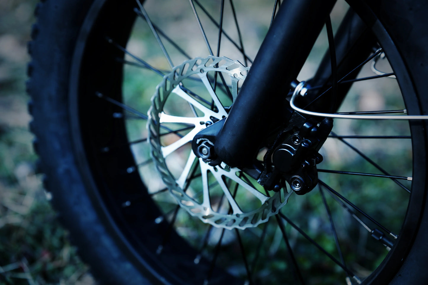 Bee Ranger Soft Tail Long Range Electric Bike