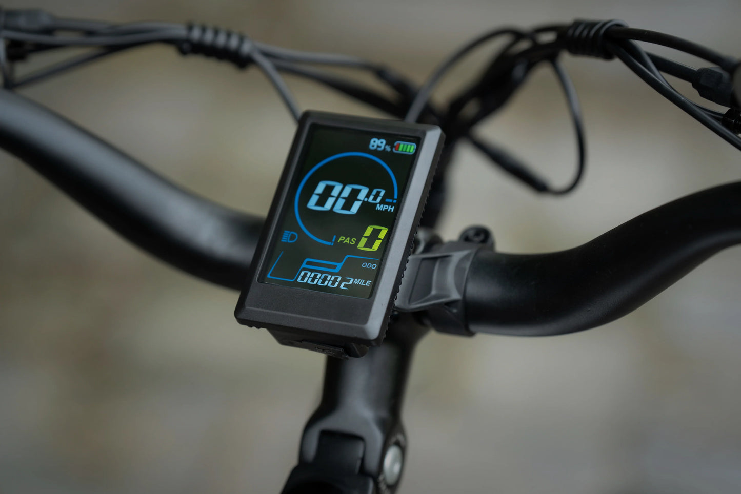 Bee Ranger Soft Tail Long Range Electric Bike