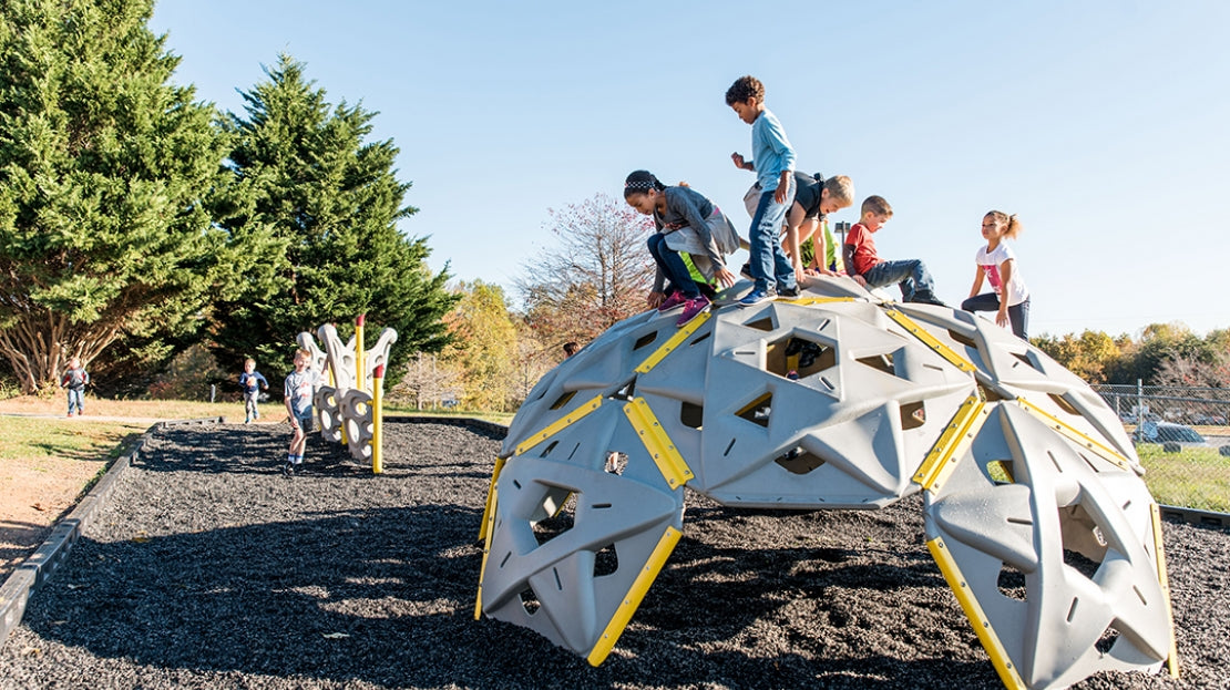 Grounds For Play Mole Hill Climber Jungle Gym (87000010XX) for Children Ages 5-12