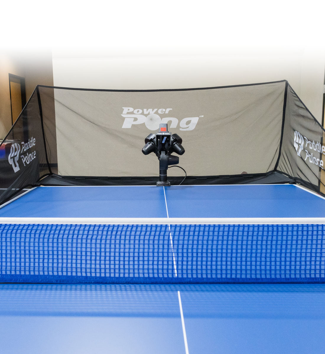 Paddle Palace Power Pong Delta Robot