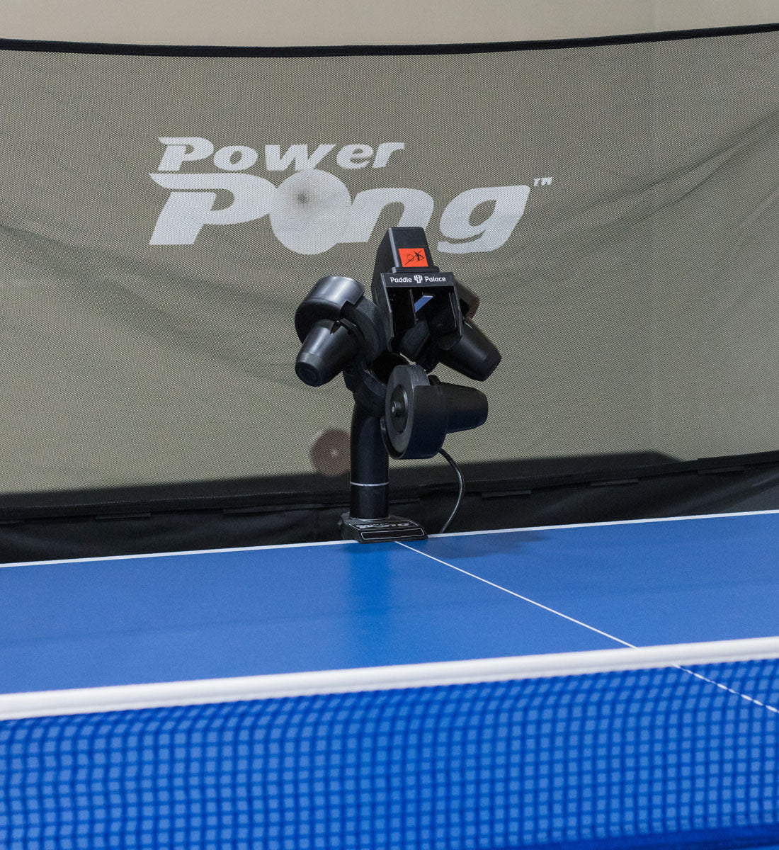 Paddle Palace Power Pong Delta Robot