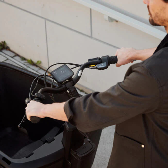 TENWAYS Cargo One Electric Cargo Bike