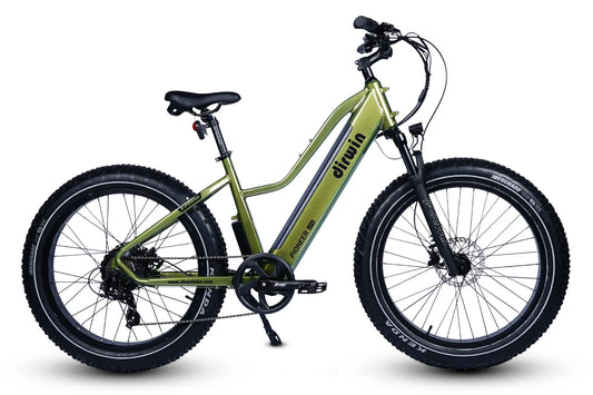 Dirwin Pioneer Lite 750W Hunting Electric Bike