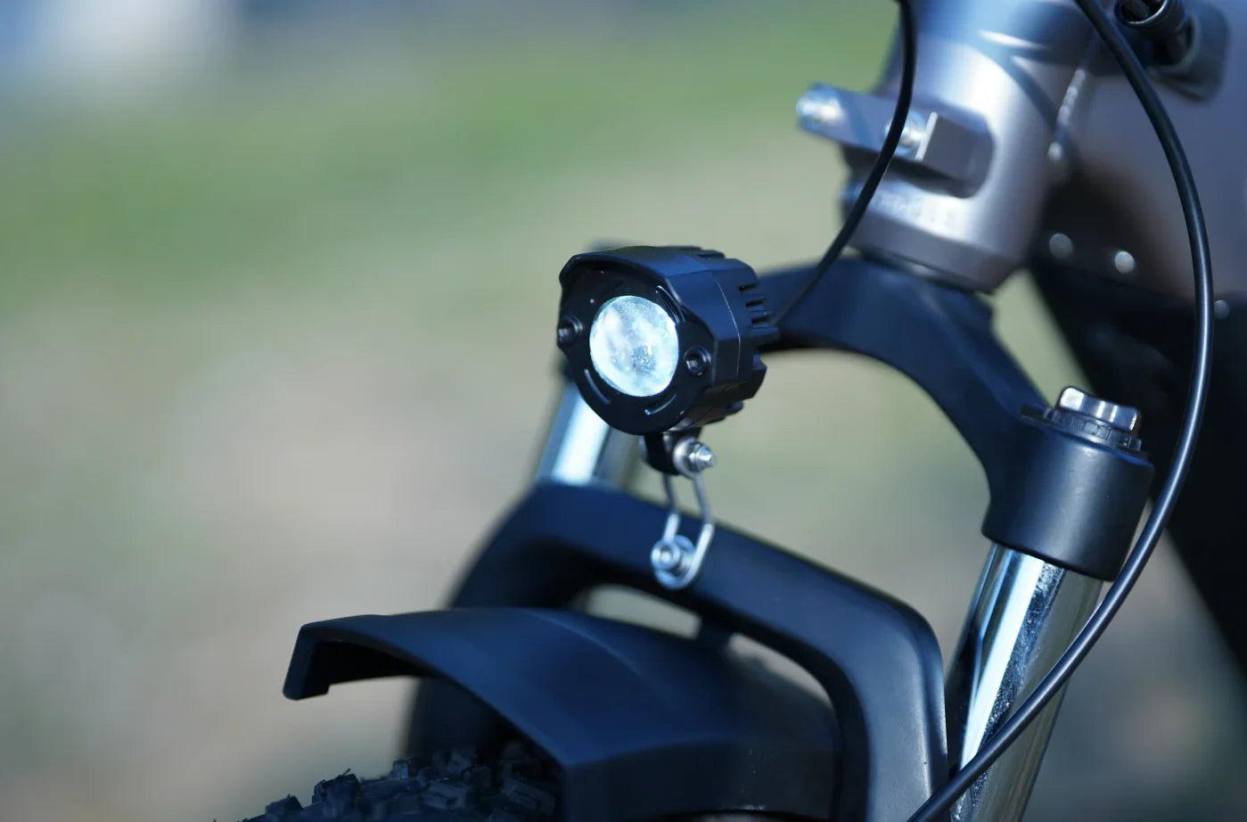 Bee Ranger Soft Tail Long Range Electric Bike