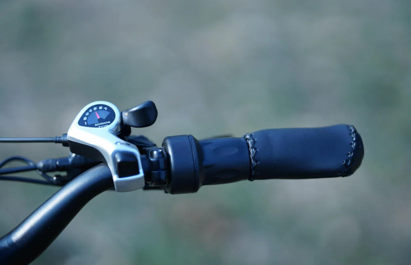 Bee Ranger Soft Tail Long Range Electric Bike