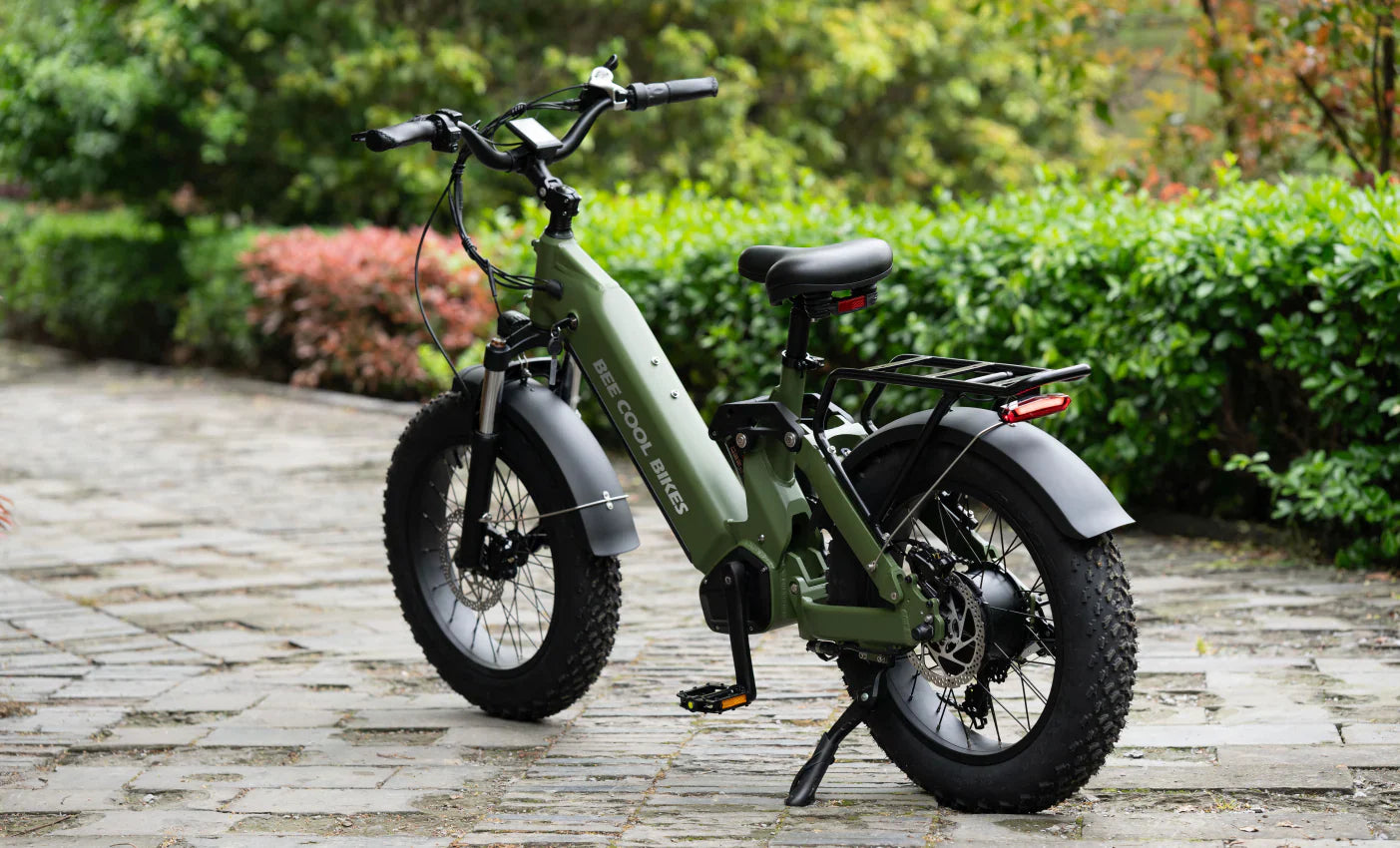 Bee Ranger Soft Tail Long Range Electric Bike