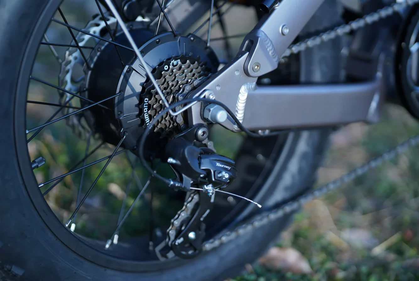 Bee Ranger Soft Tail Long Range Electric Bike