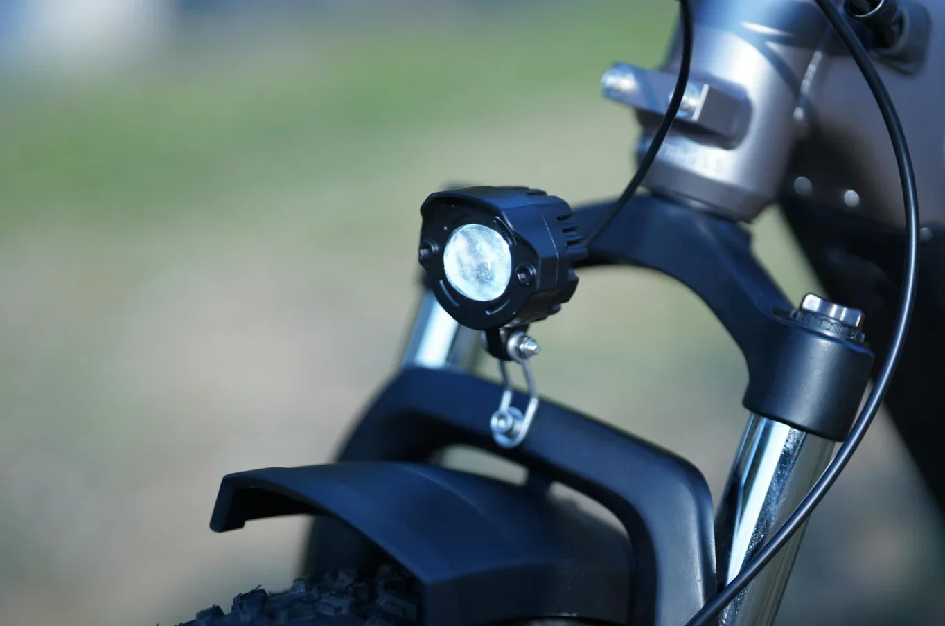 Bee Ranger Soft Tail Long Range Electric Bike