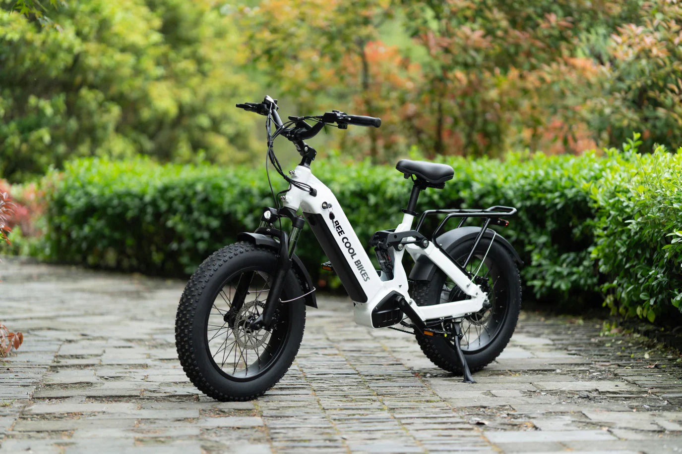 Bee Ranger Soft Tail Long Range Electric Bike