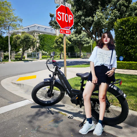 Bee Pathfinder Step-Thru Full Suspension Long Range Electric Bike