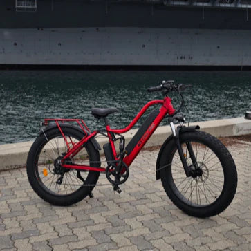 Bee Explorer Soft Tail Long Range Electric Bike