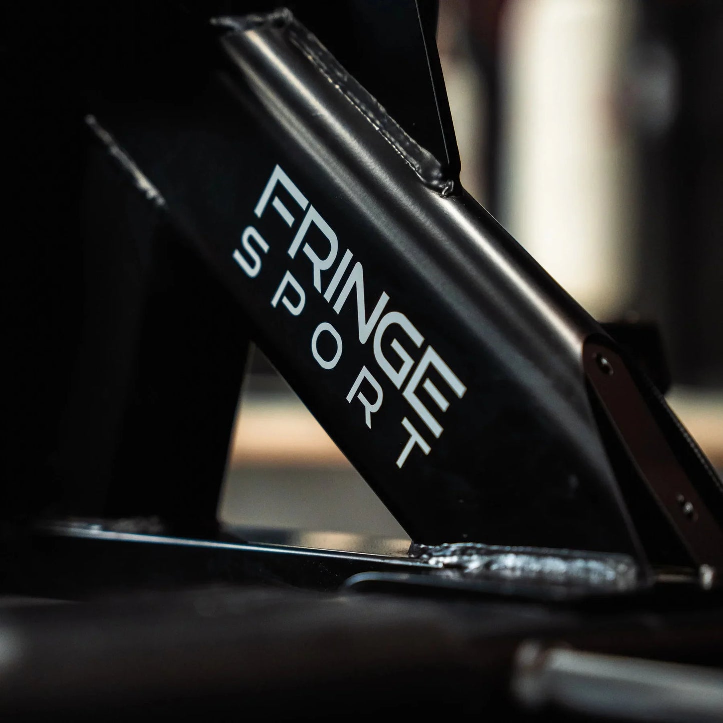 Fringe Sport Raptor Air Bike