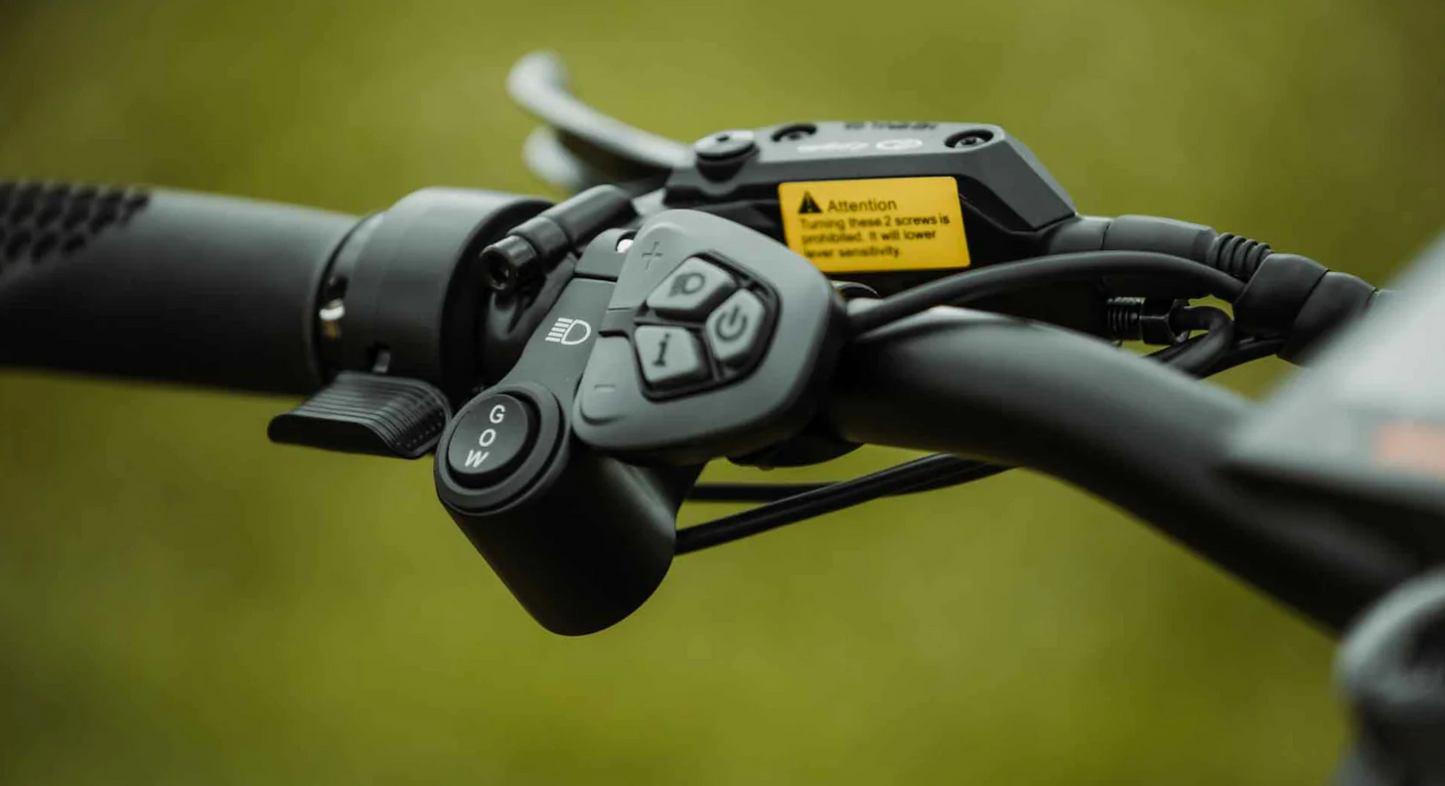 Rambo Rebel 2.0 Electric Bike 1000W Mid-Drive Motor