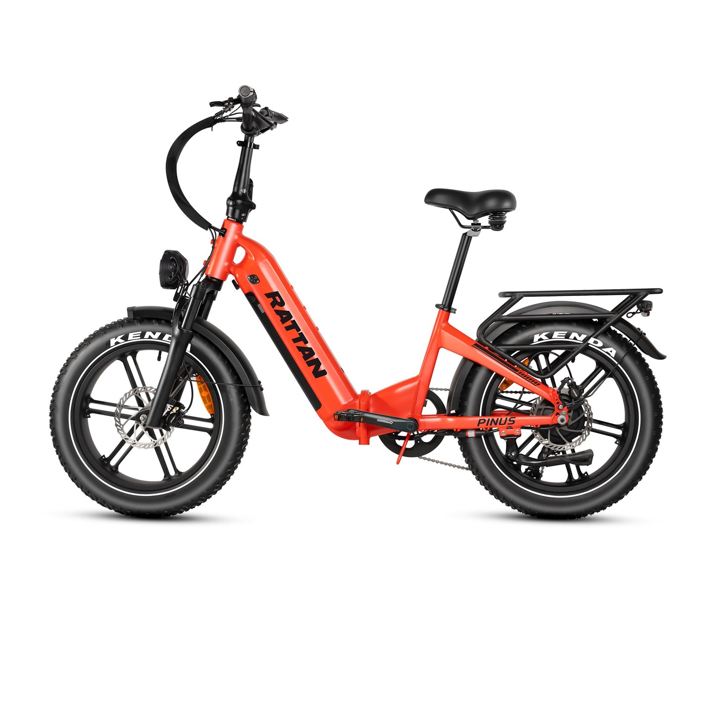 Rattan Pinus Fat Tire 750W Electric Bike
