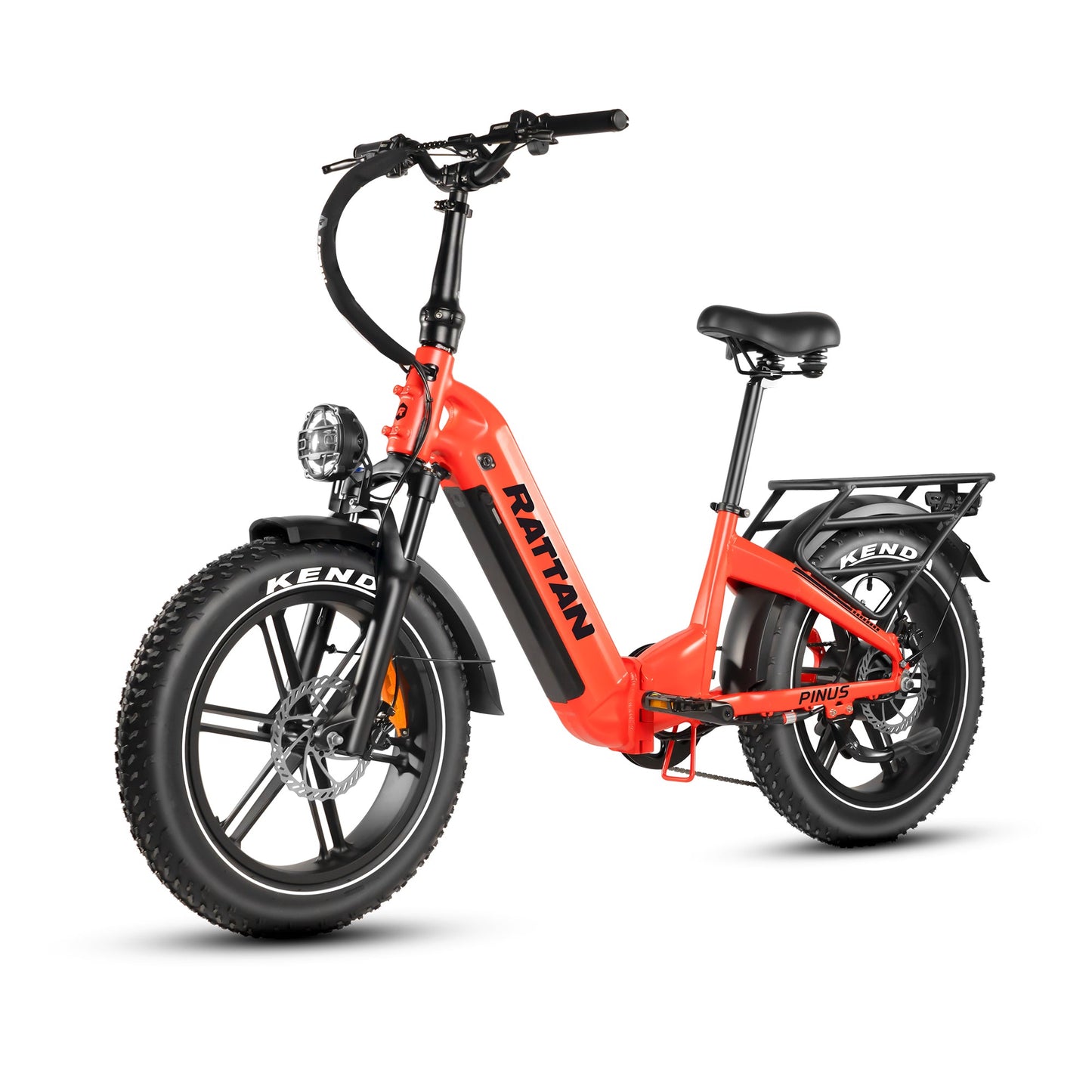 Rattan Pinus Fat Tire 750W Electric Bike
