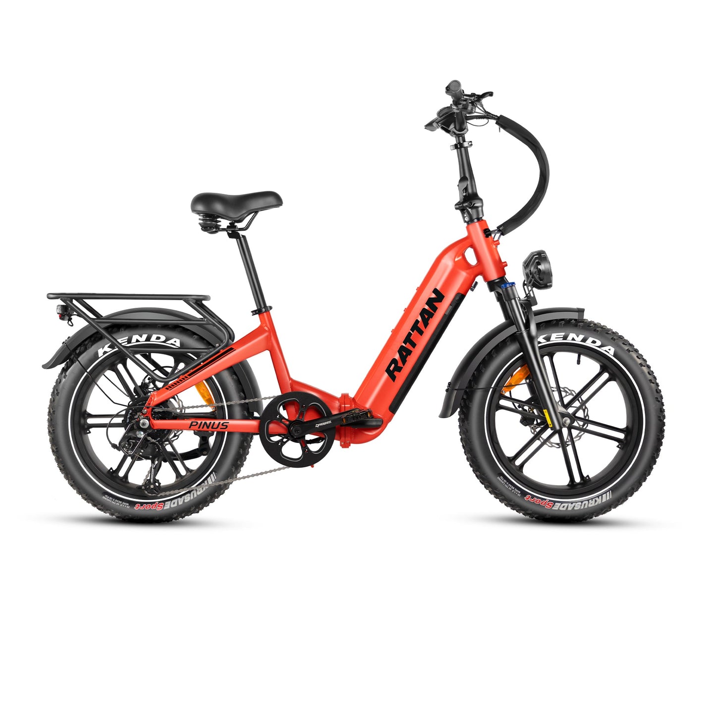 Rattan Pinus Fat Tire 750W Electric Bike