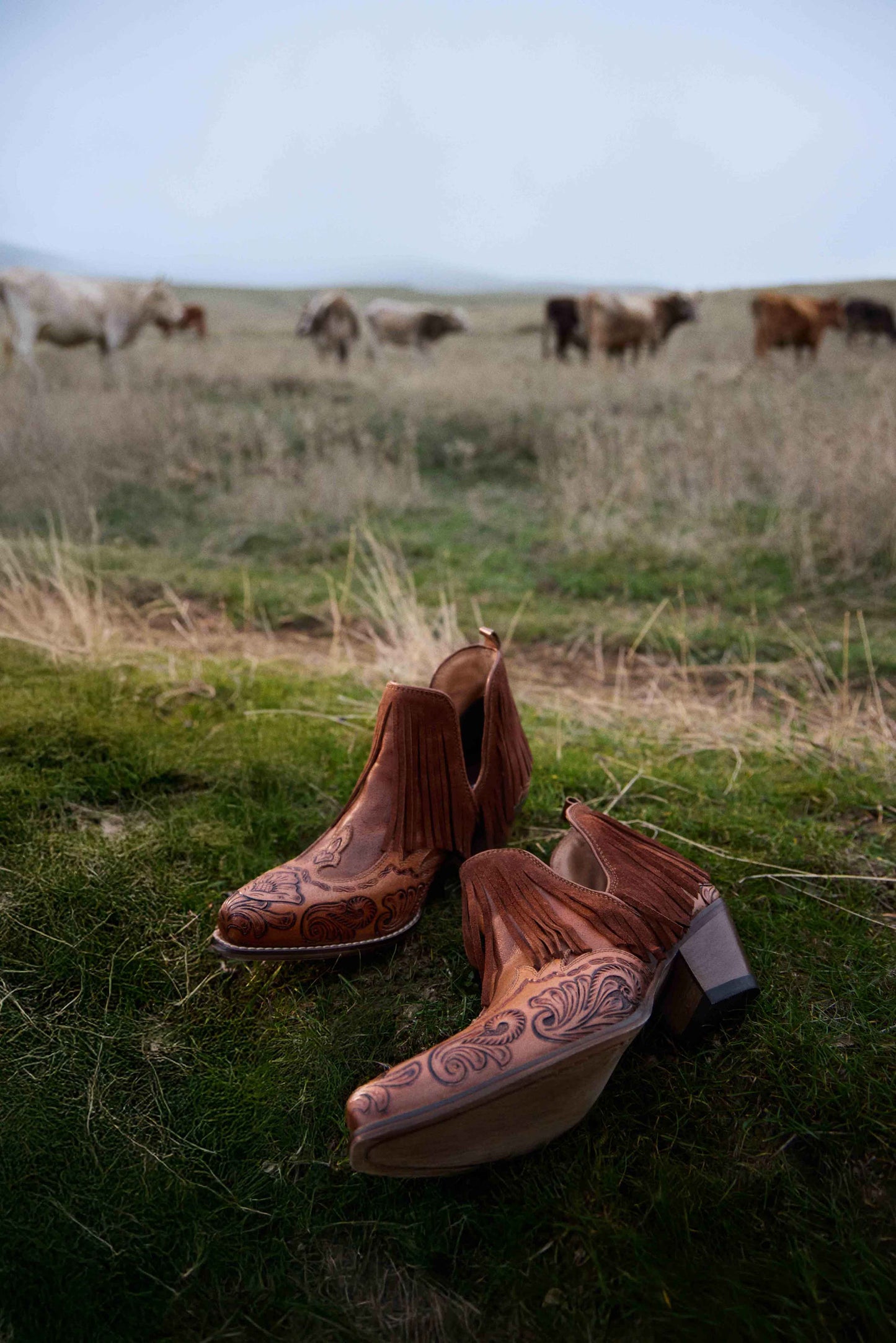 Wild Ember Booties