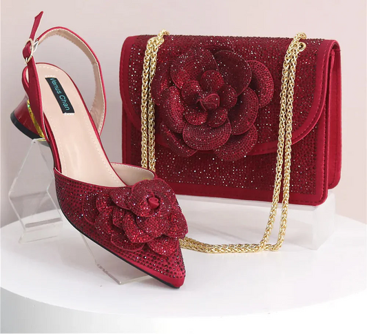 Elegant Lady Shoes And Bag Set with Rhinestone NBT543