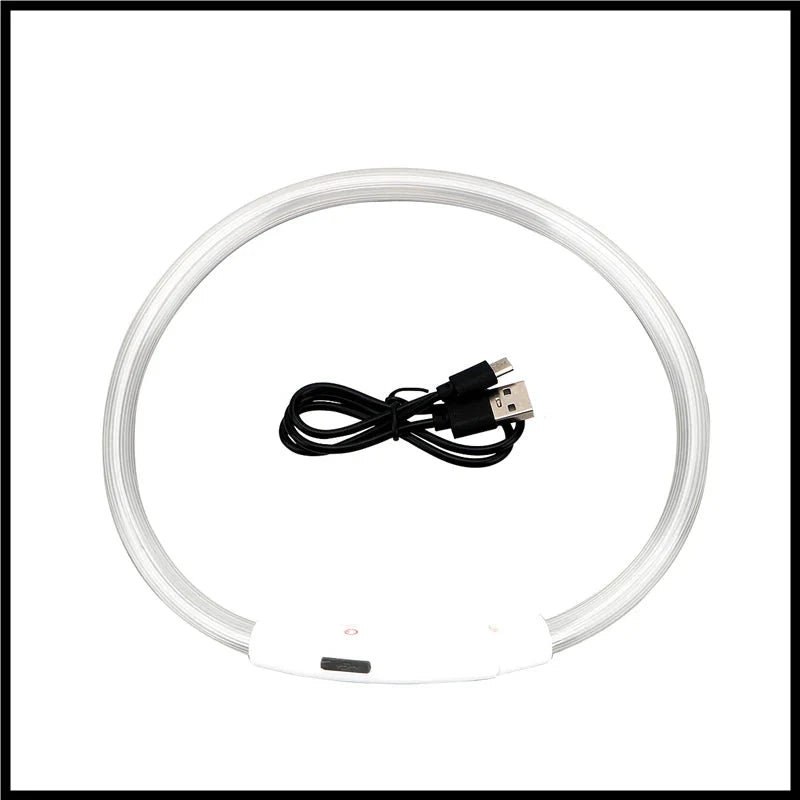 LED Pet Dog Collar for Night Safety | Bright USB Rechargeable