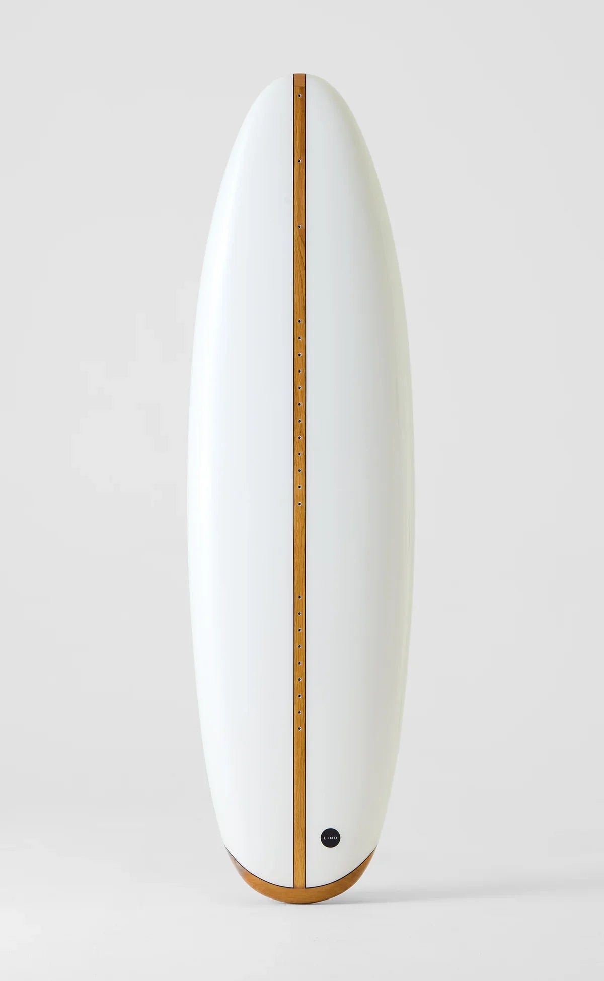 LIND Electric Surfboard