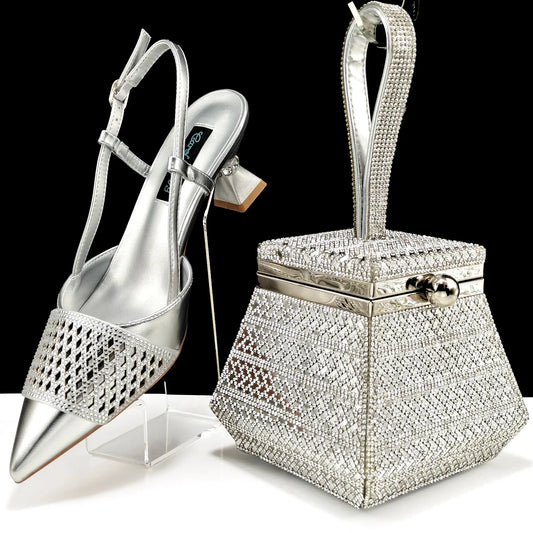 Women Shoes and Bags To Match Set HAS1-32