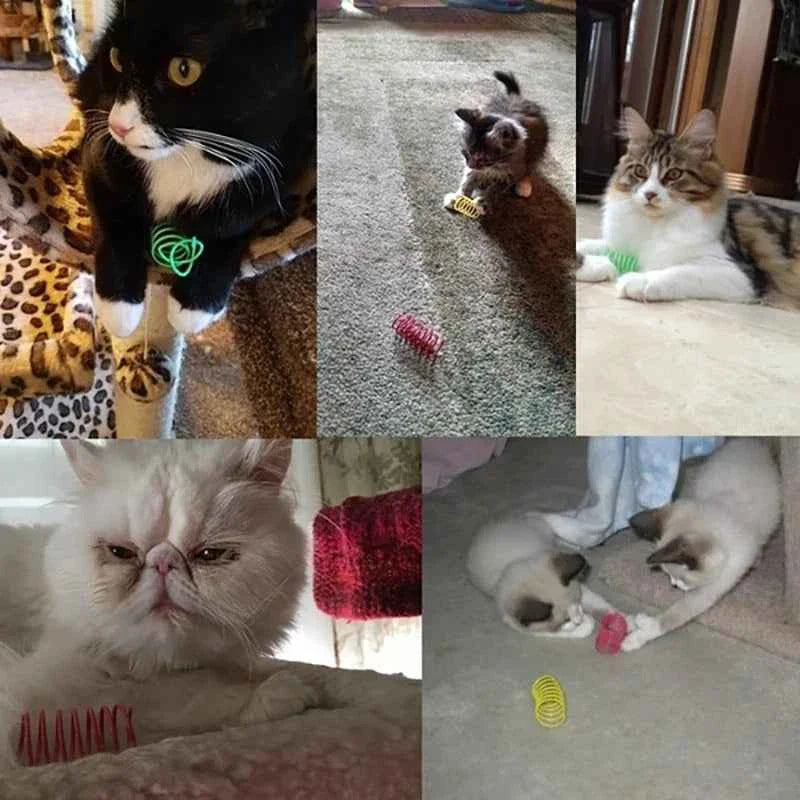 Colorful Cat Spring Toys – Durable Coil Play for Kittens