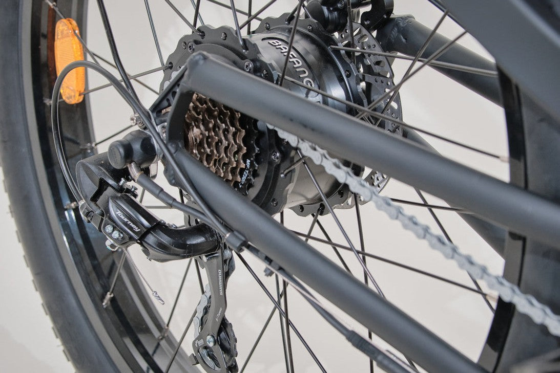 Bagi Bike B26 Rocky TRX Electric Bike