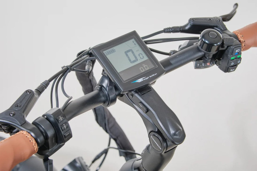Bagi Bike B26 Rocky TRX Electric Bike