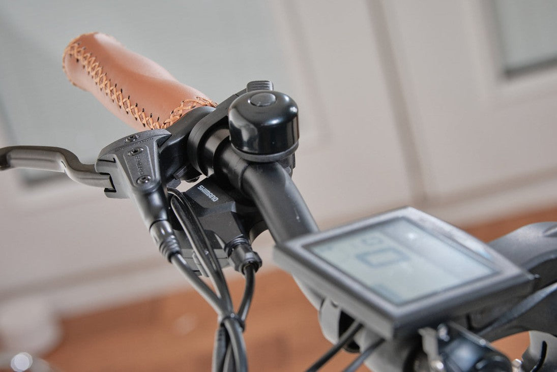 Bagi Bike B26 Rocky TRX Electric Bike