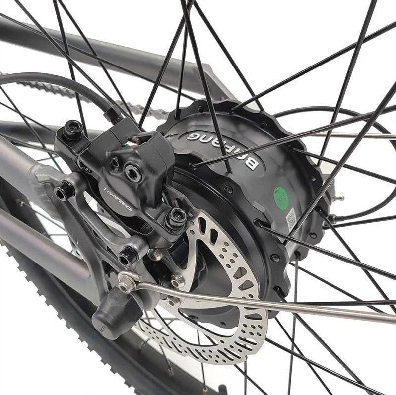 Bagi Bike B27 Trail TRX Electric Bike