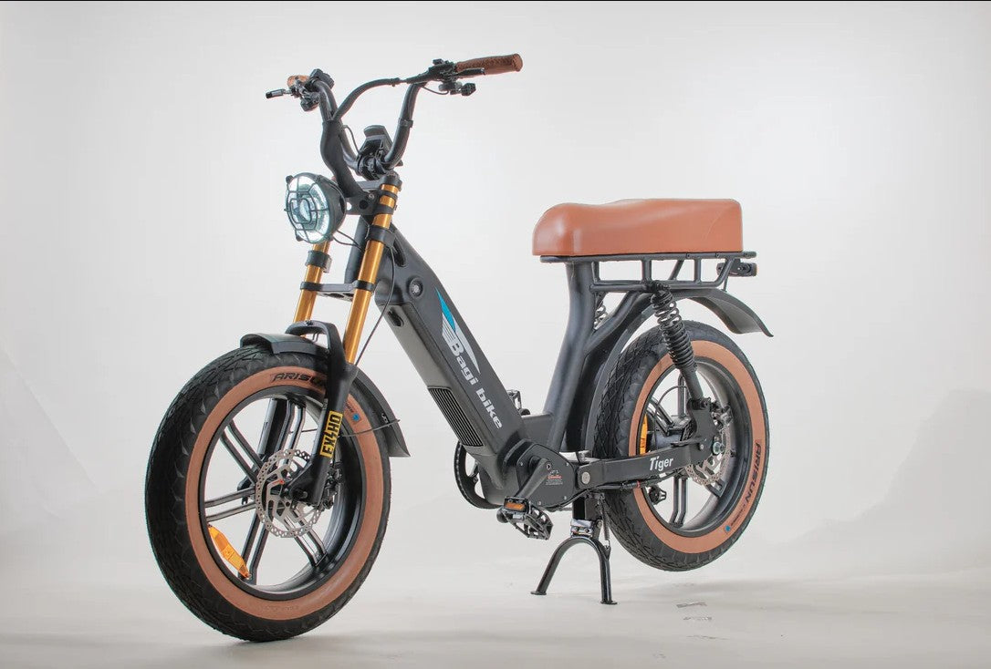 Bagi Bike B24 Tiger - UL Standard Certificate Electric Bike