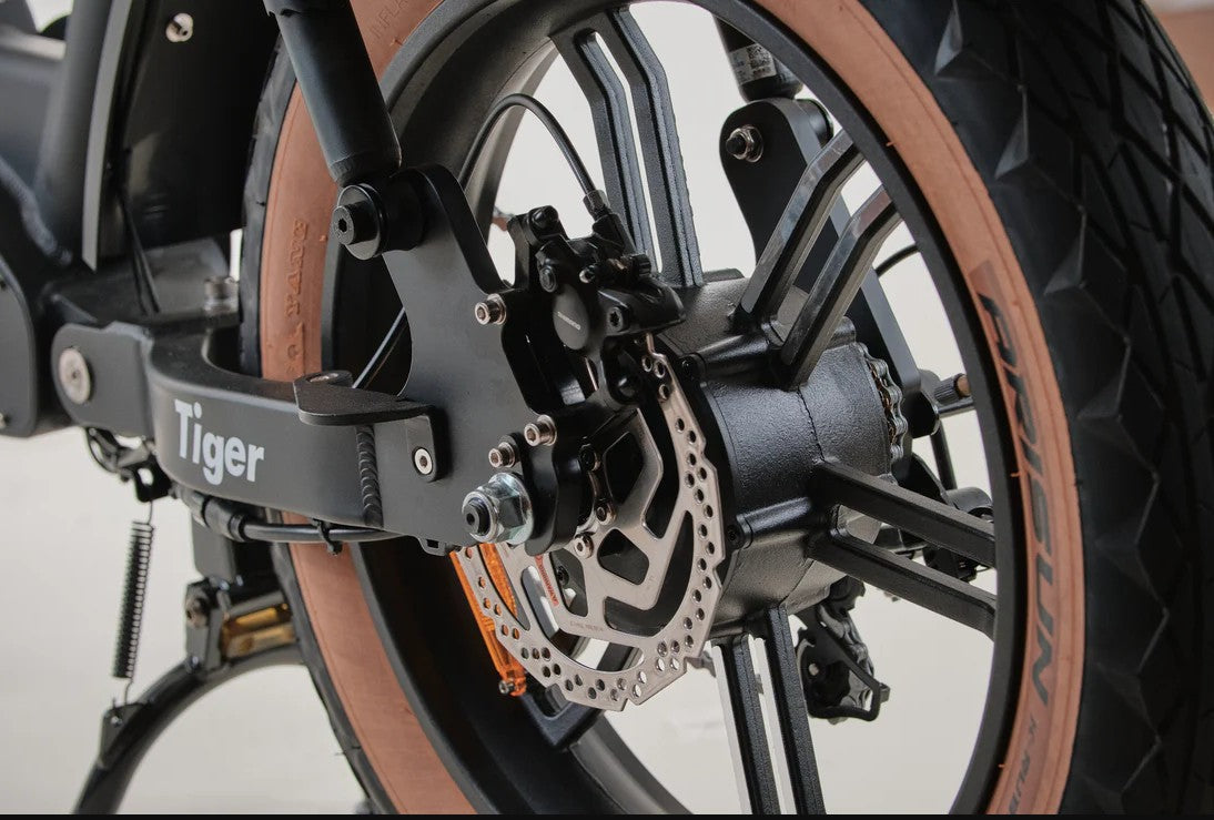 Bagi Bike B24 Tiger - UL Standard Certificate Electric Bike