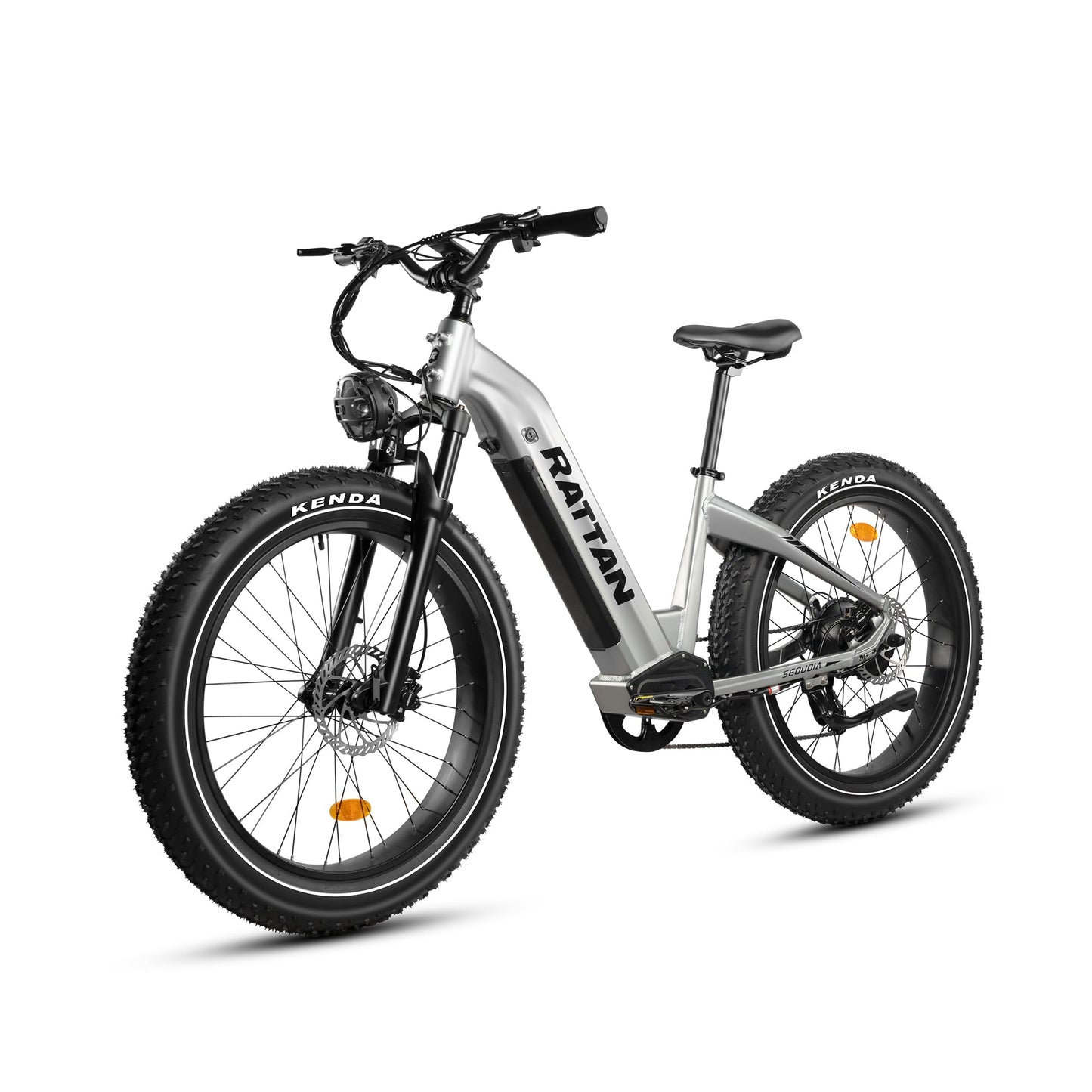 Rattan Sequoia Fat Tire 750W Electric Bike