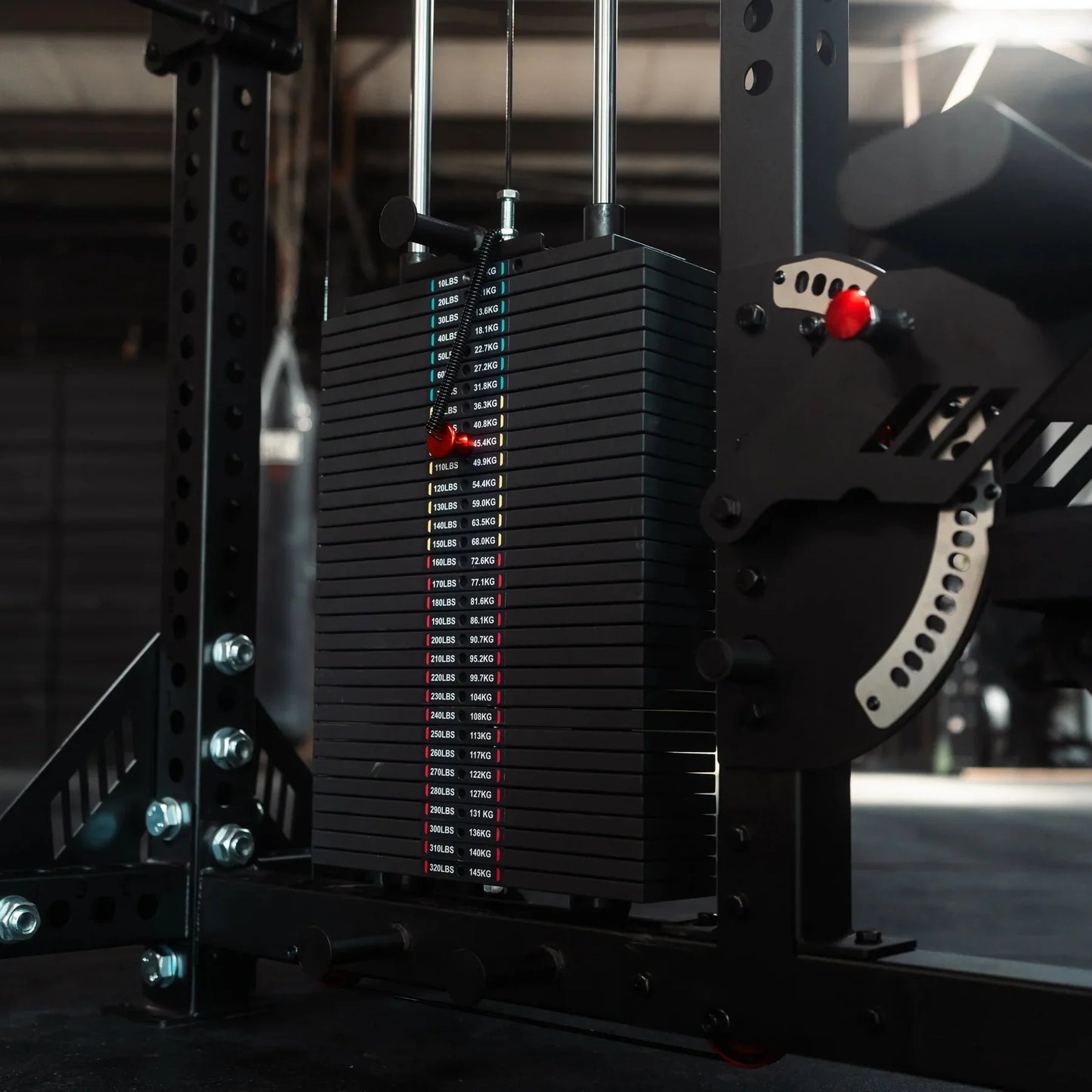 Fringe Sport The Walrus: Single Tower Low Row & Lat Pulldown