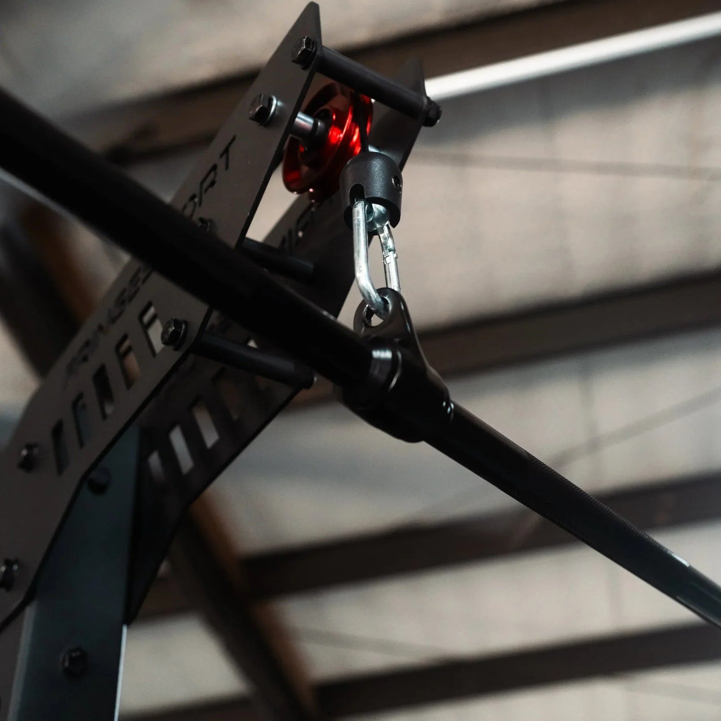 Fringe Sport The Walrus: Single Tower Low Row & Lat Pulldown