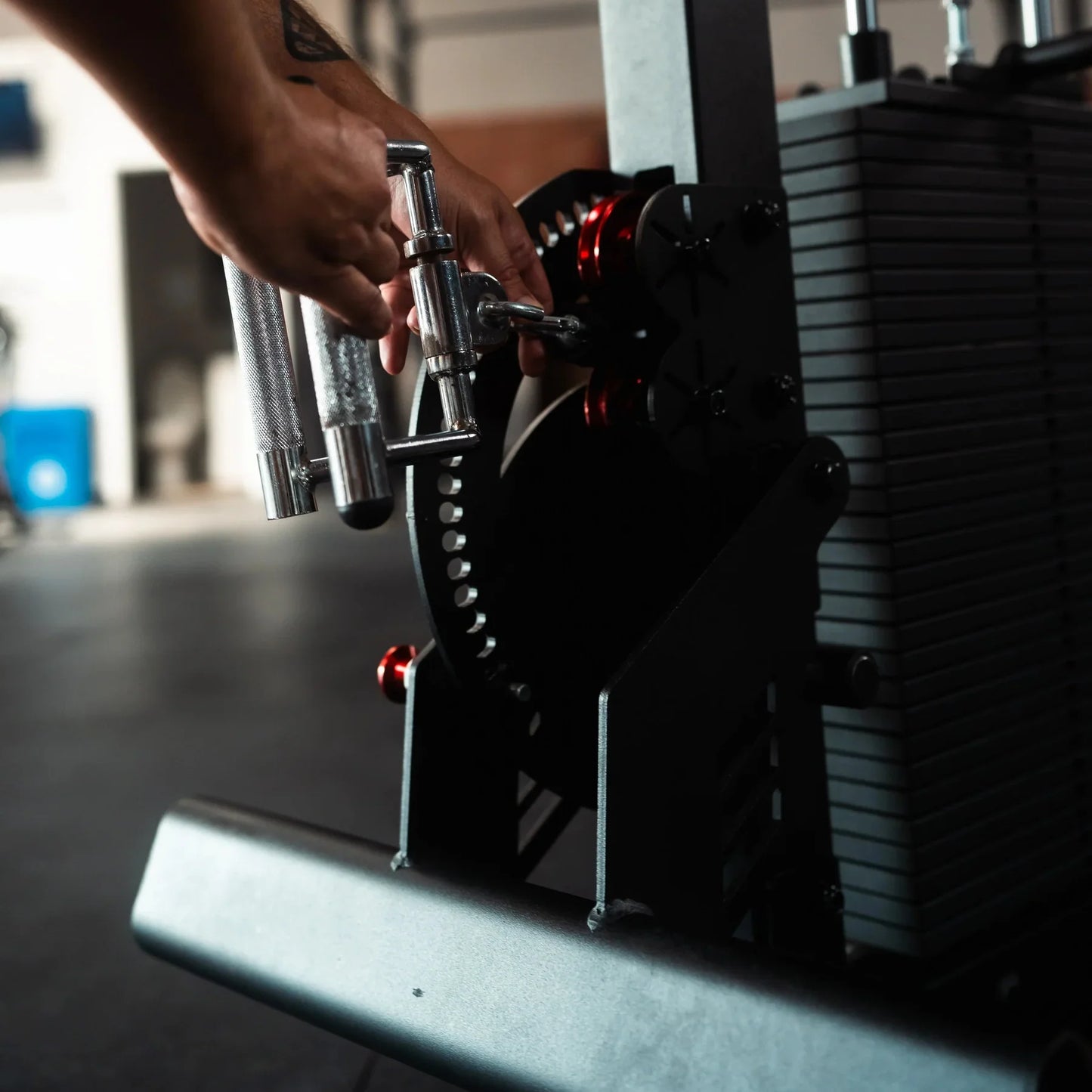 Fringe Sport The Walrus: Single Tower Low Row & Lat Pulldown