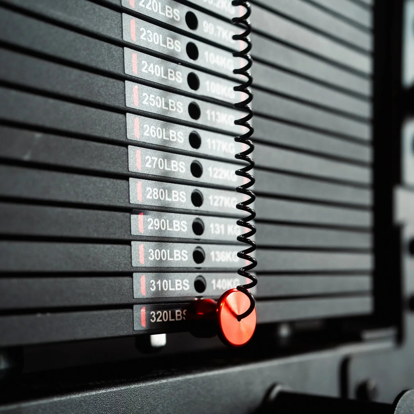 Fringe Sport The Walrus: Single Tower Low Row & Lat Pulldown