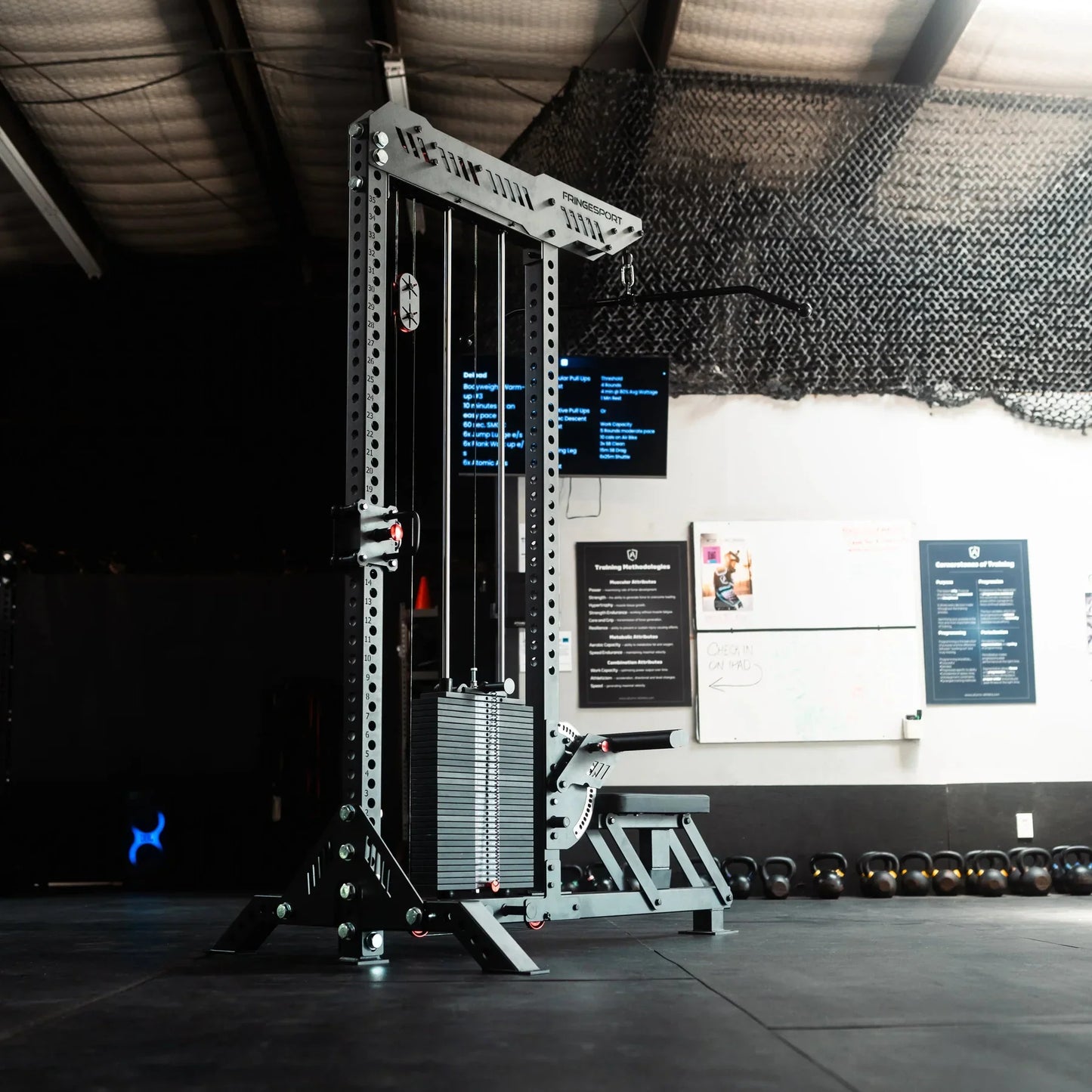 Fringe Sport The Walrus: Single Tower Low Row & Lat Pulldown