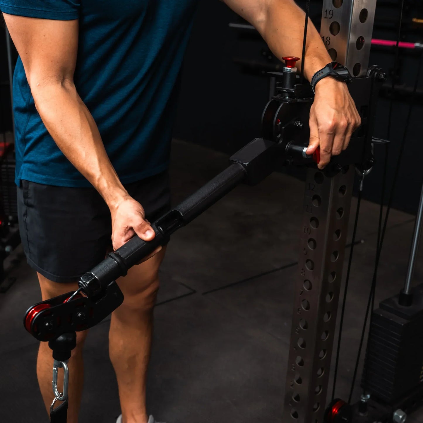 Fringe Sport The Dane 2.0, Half Rack Functional Trainer