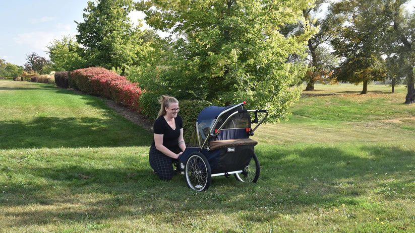 Wike Premium Double Children's Bike Trailer - Includes Stroller and Jogging Kit