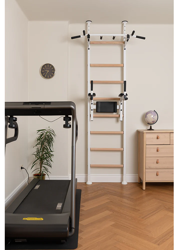BenchK 522 Gymnastics Wall Bars with Dip Station and Pull-Up Bar