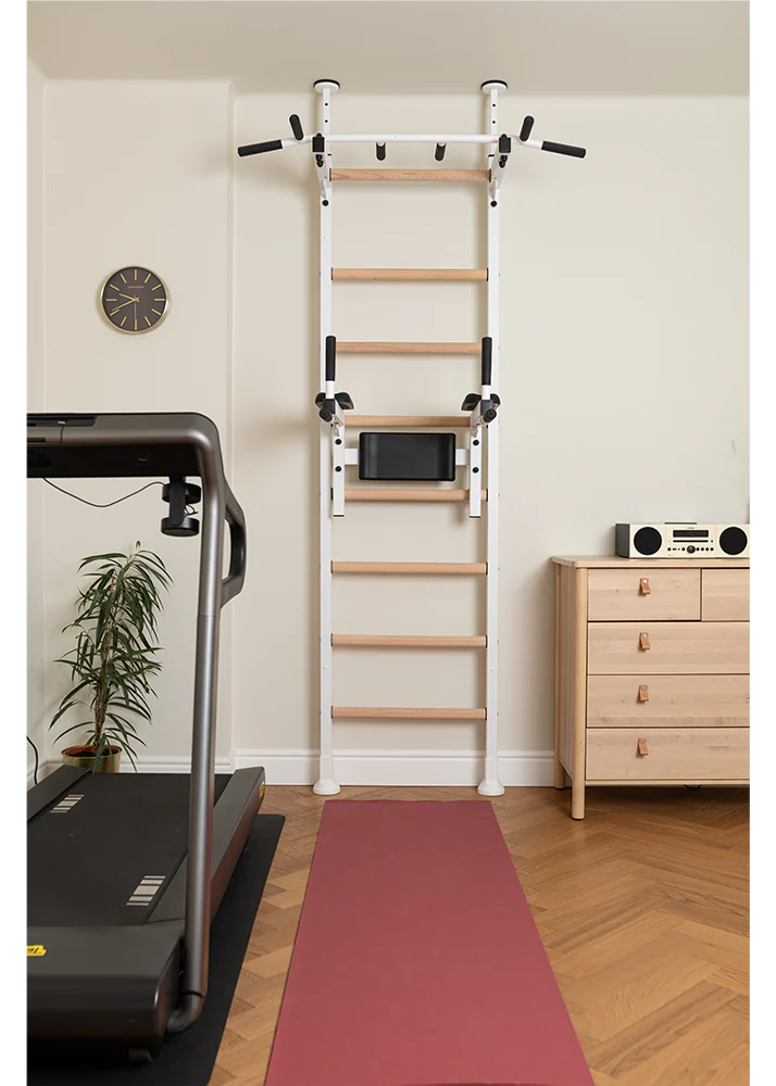 BenchK 522 Gymnastics Wall Bars with Dip Station and Pull-Up Bar
