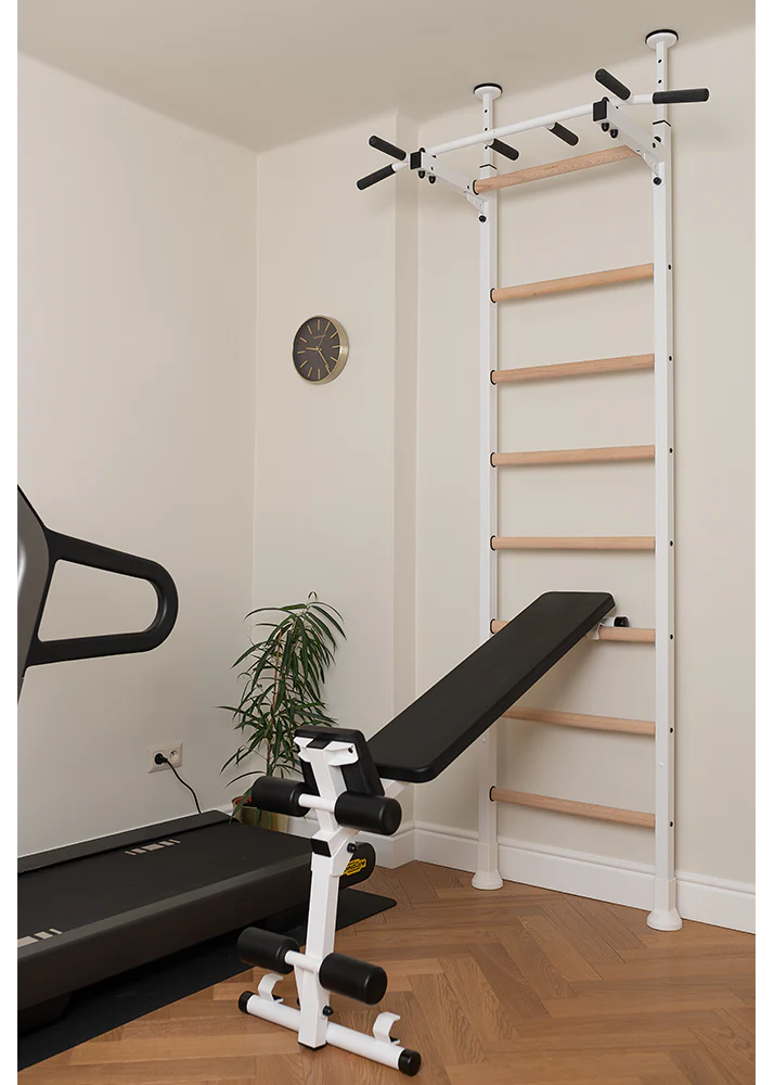 BenchK 523 Wall Mounted Gymnastic Wall Bars with Workout Bench and Pull-Up Bar