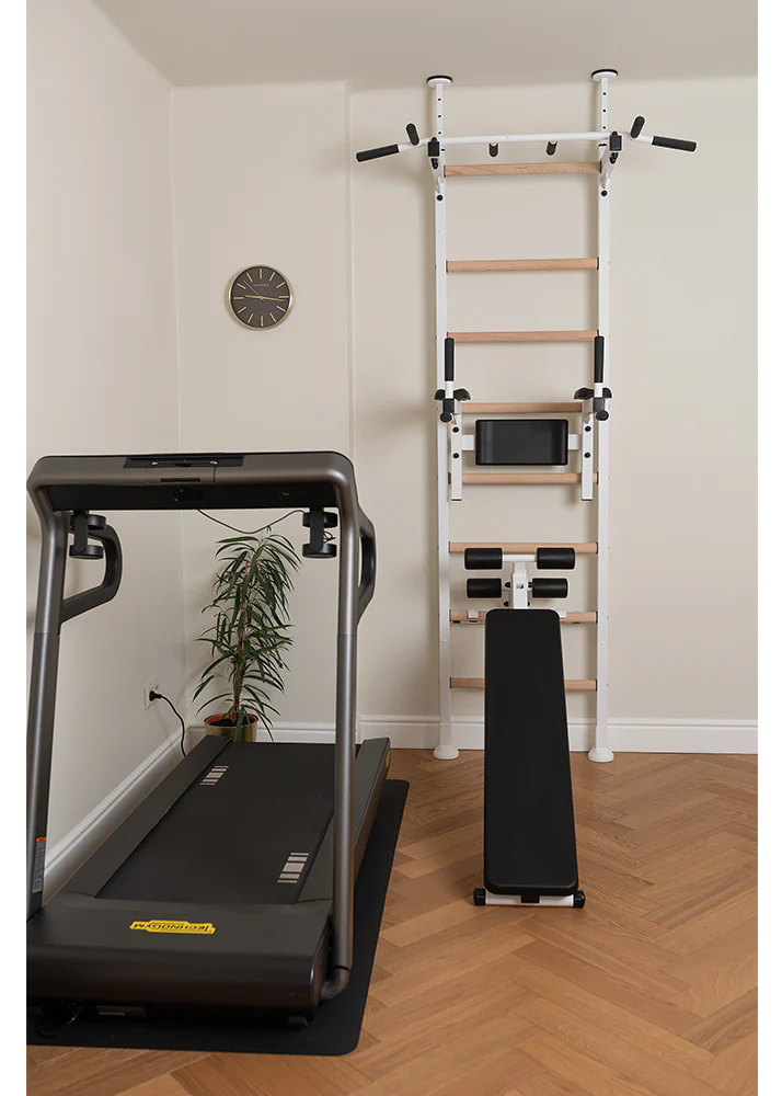 BenchK 523 Wall Mounted Gymnastic Wall Bars with Workout Bench and Pull-Up Bar