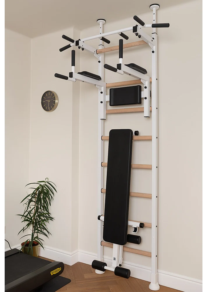 BenchK 523 Wall Mounted Gymnastic Wall Bars with Workout Bench and Pull-Up Bar