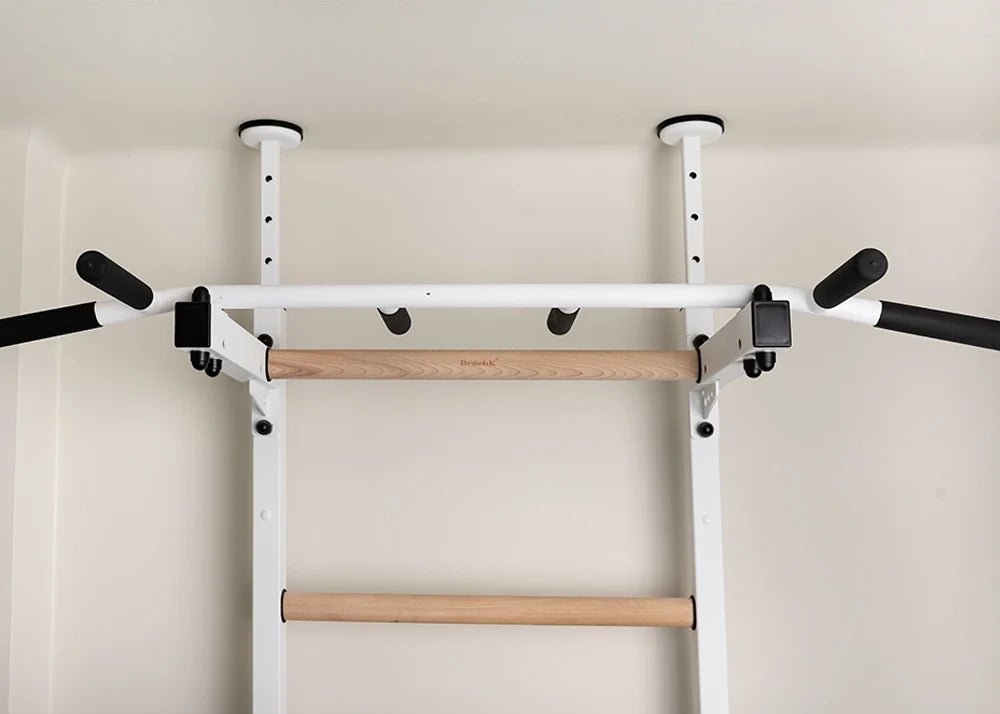 BenchK 521 Gymnastics Wall Bars - Wall Mounted Ladder