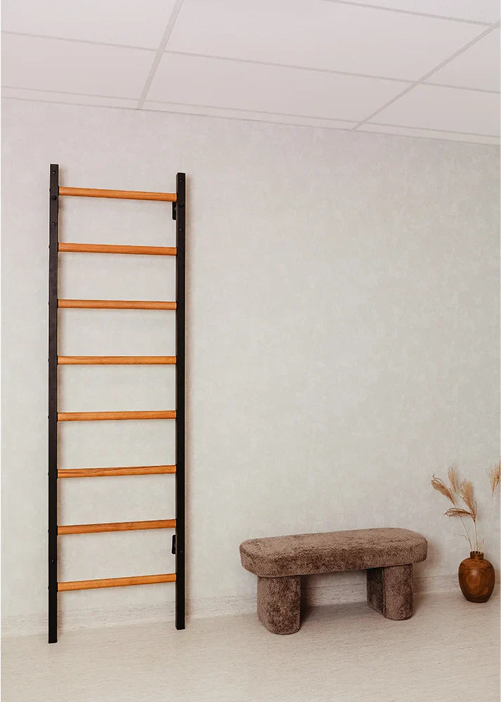 BenchK 200 Gymnastic Wall Bars for Home